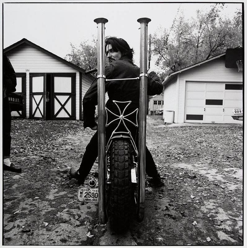 Gray Cat, Ramon J. Muxter, 1966