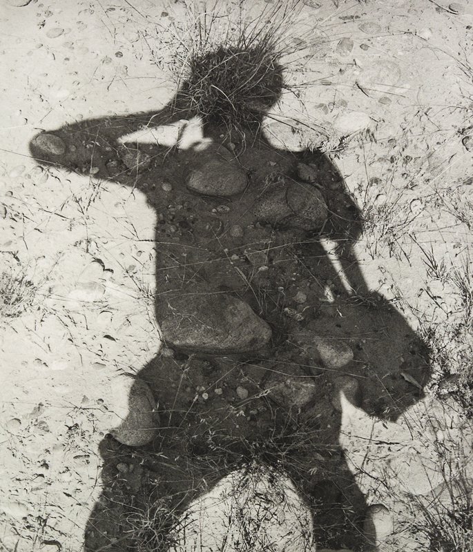 Canyon de Chelly, Arizona, Lee Friedlander, 1983