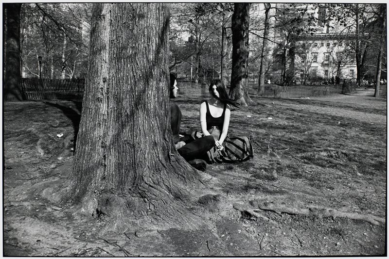 Untitled [tree], Garry Winogrand, 1981