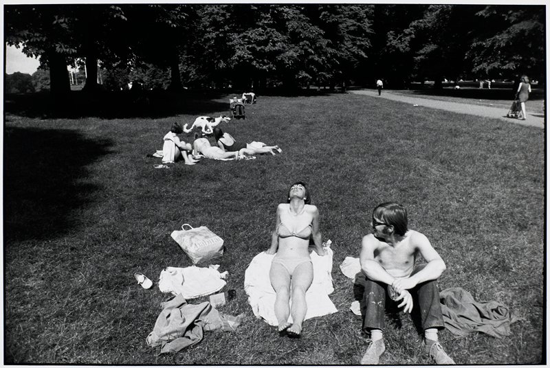 Untitled [wolfhound], Garry Winogrand, 1981