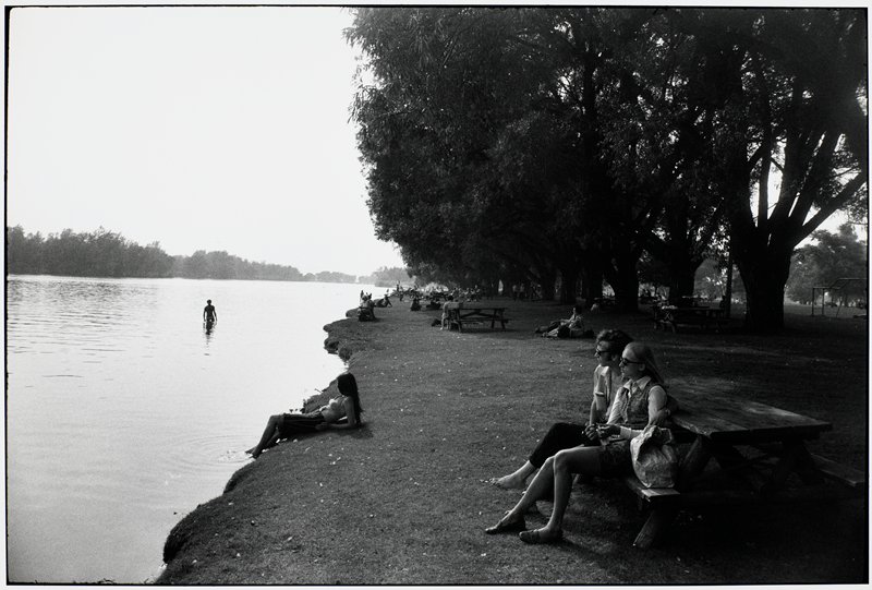 Untitled [picnic tables], Garry Winogrand, 1981