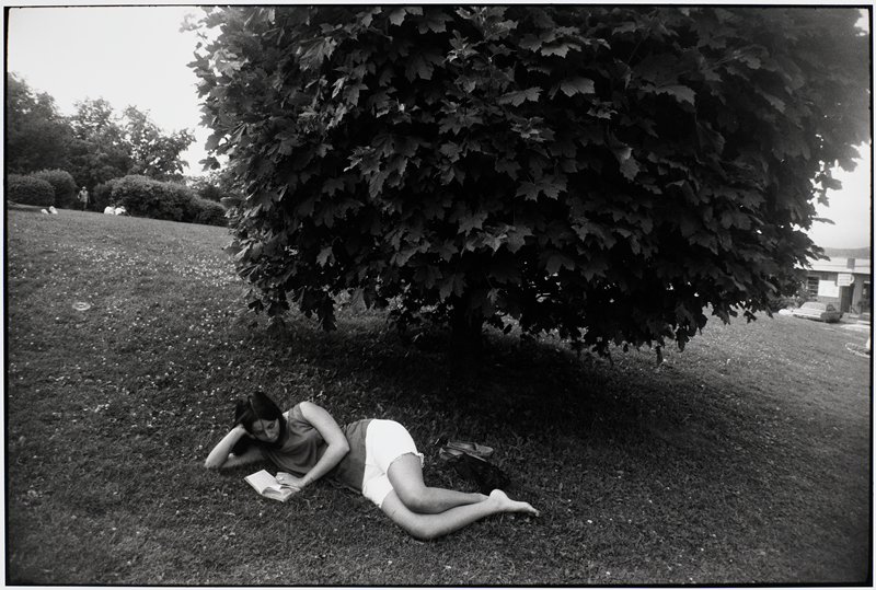 Untitled [reading], Garry Winogrand, 1981