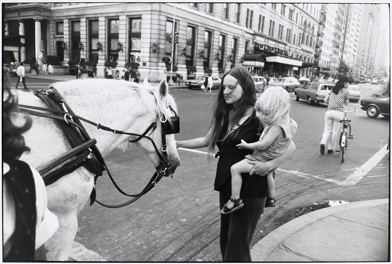 Untitled [horse], Garry Winogrand, 1981