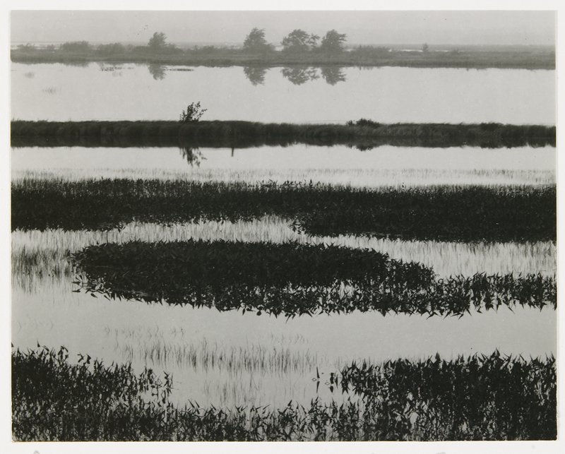Near Tupper Lake, New York, Michael A. Smith, 1977
