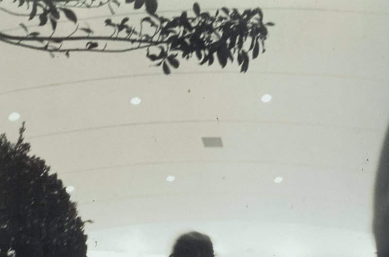 Roseday at Rosedale, Gary L. Hallman, 1969