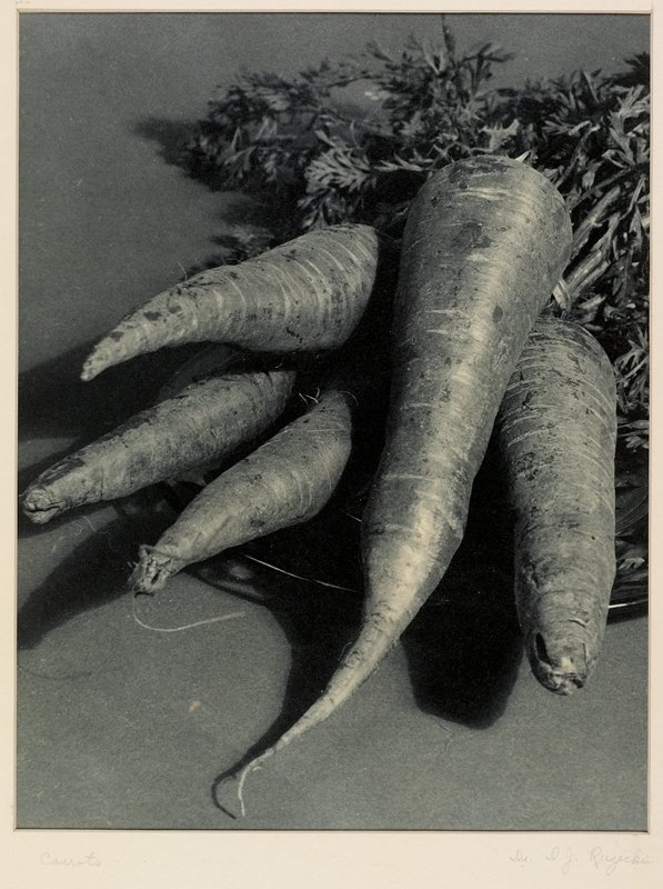 Carrots, Drahomir Josef Ruzicka, 1934