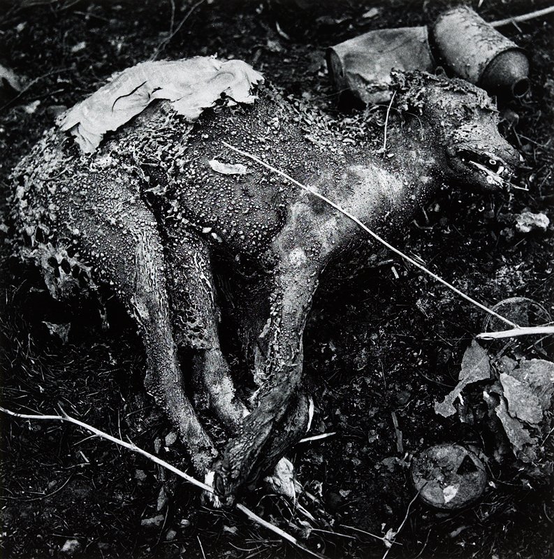 Chicago by Dave Heath