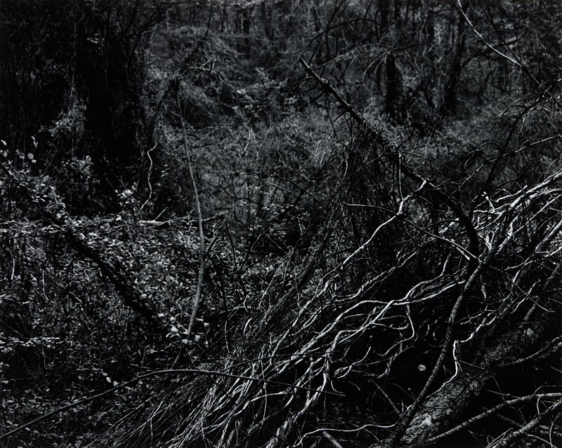 Philadelphia by Dave Heath