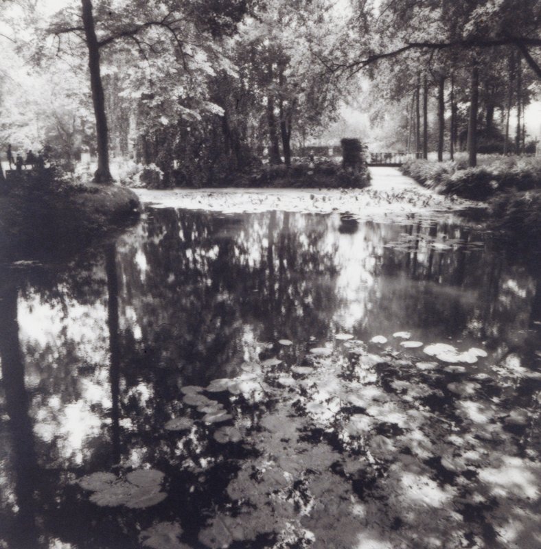Pond, Kasteel Sypesteyn, Nieuw Loosdrecht, The Netherlands, Lynn Geesaman, 1989