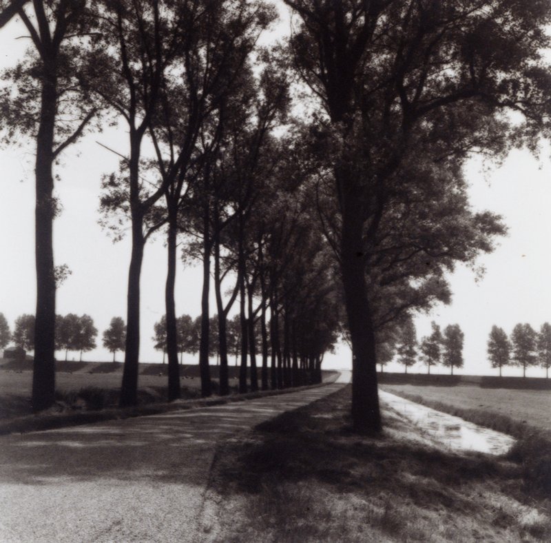 Landscape, Noord Holland, The Netherlands, Lynn Geesaman, 1989