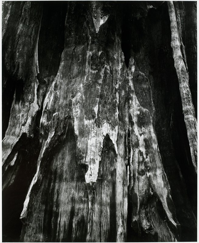 Yosemite, Michael A. Smith, 1988
