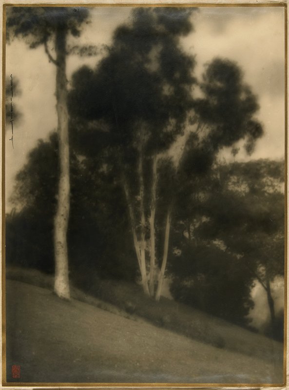 Untitled, Harry K. Shigeta, 20th century