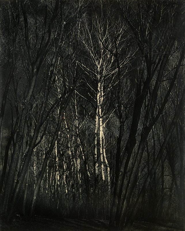 Enchanted Forest, Burton D. Holley, c. 1944