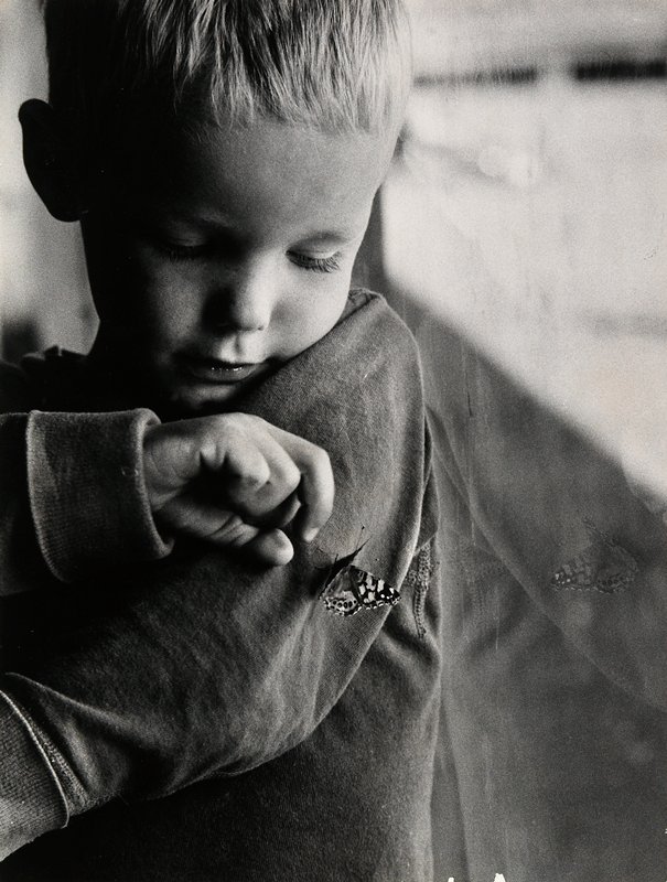 Untitled [boy with butterfly], Wayne Miller, c. 1966