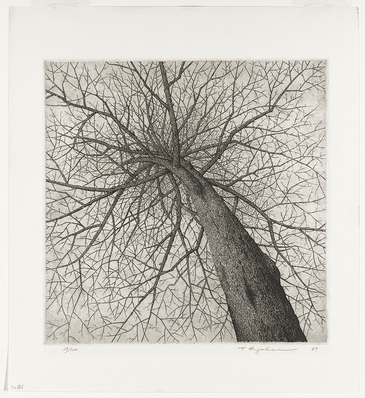 Winter Tree, Tanaka Ryōhei, 1967