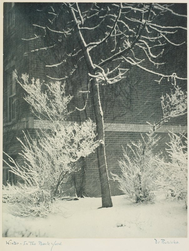 Winter in the Backyard, Drahomir Josef Ruzicka, 20th century