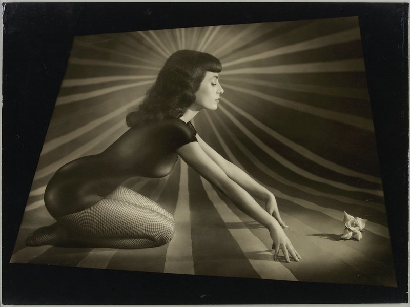 One Rose, Wellington Lee, 1950
