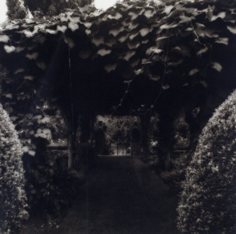 Vine Covered Path, Heale House Gardens, Wiltshire, England, Lynn Geesaman, 1991