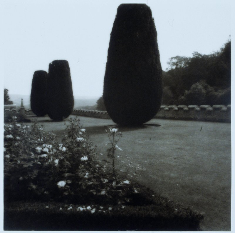 Rose Garden with Yews, Lanhydrock, Cornwall, England, Lynn Geesaman, 1991