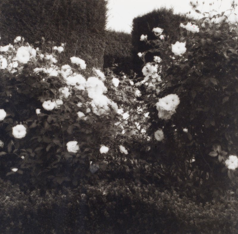 Rose Garden, Sissinghurst, Kent, England, Lynn Geesaman, 1991