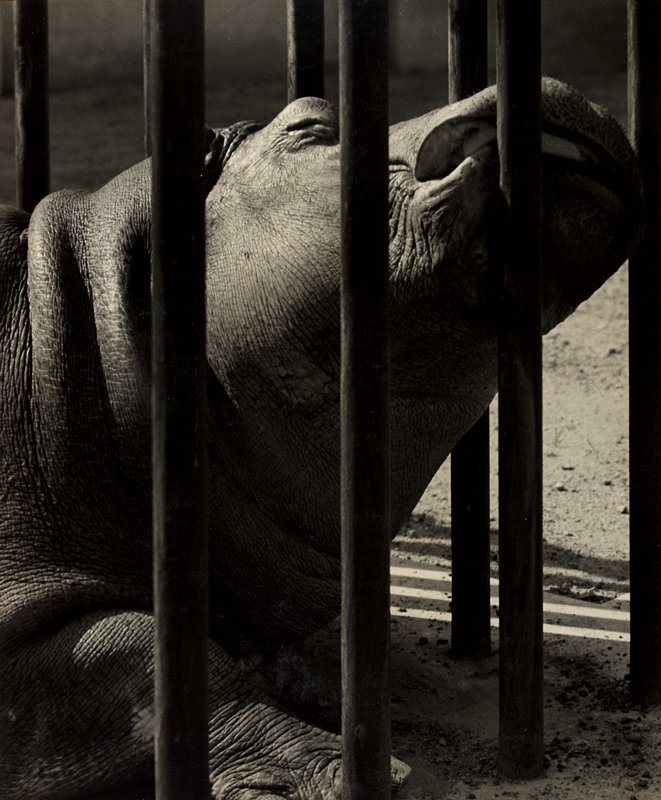 Sleeping Beauty, Charles B. Phelps, Jr., c. 1939