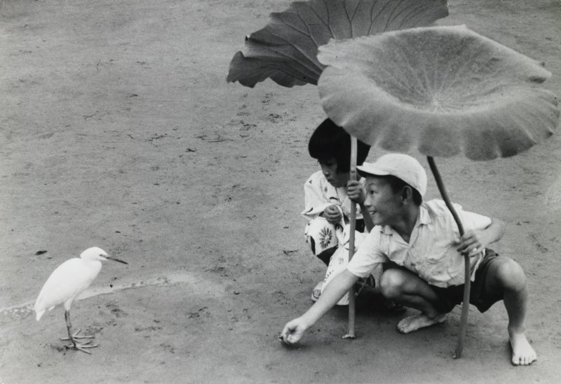 Untitled, Tanaka Tokutaro, 20th century
