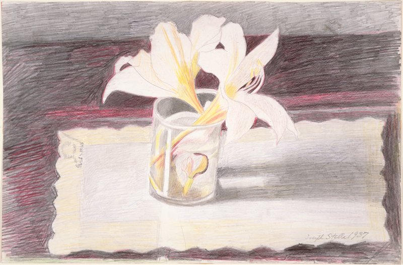 Flowers in a Glass, Joseph Stella, 1937