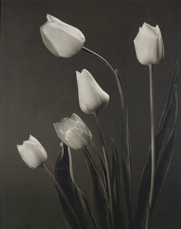 Spring Blooms, Frank J. Heller, c. 1953