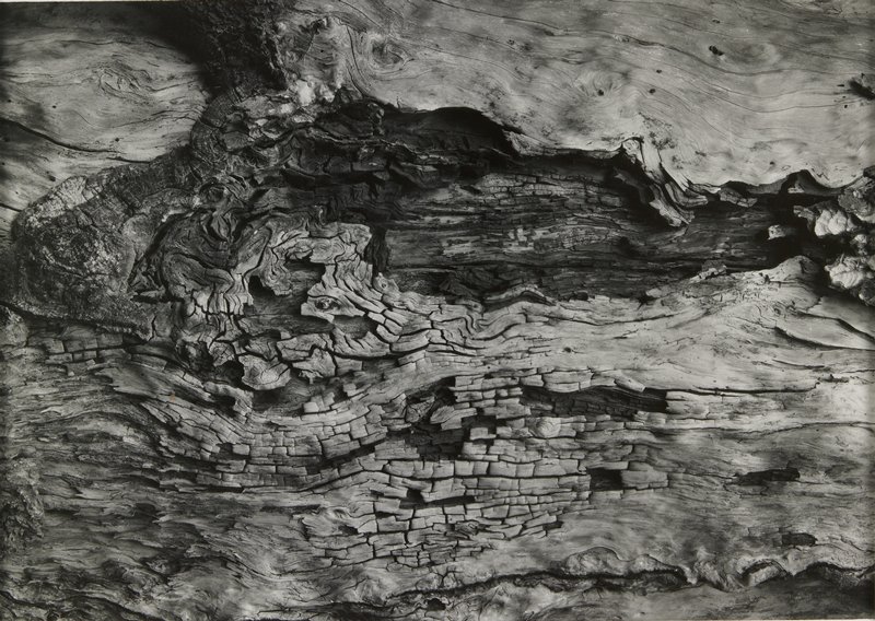 Untitled (diplomats), Erich Salomon, 20th century
