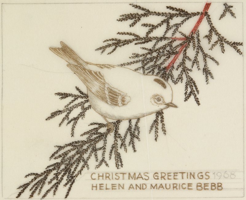 Ruby-crowned Kinglet, Maurice R. Bebb, 1968