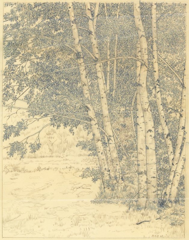 Landscape with Birch Trees, Maurice R. Bebb, 1965