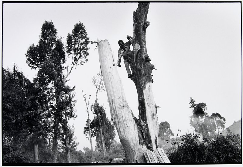 Rwanda, Gilles Peress, 1994