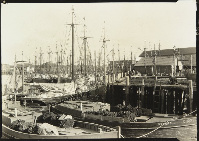 Untitled, Lewis W. Hine, 1920s