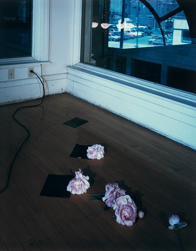 Lumber Exchange, Minneapolis, Olivia Parker, 1983