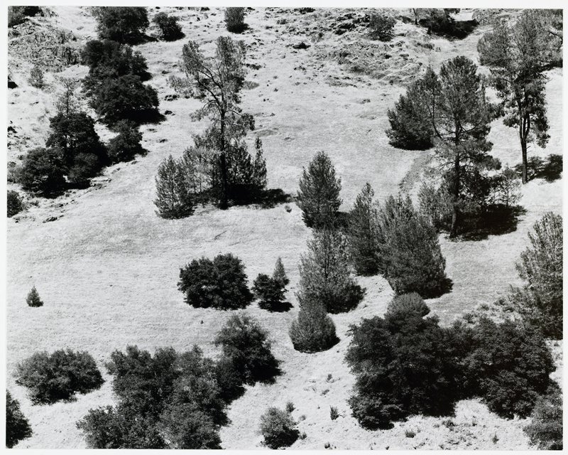 Near Yosemite, California, Michael A. Smith, 1975