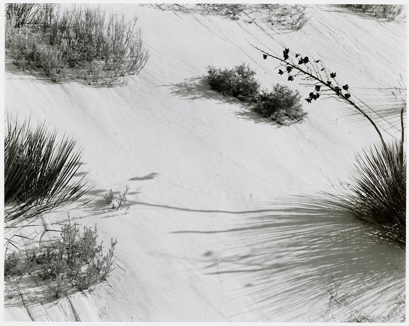White Sands, New Mexico, Michael A. Smith, 1975