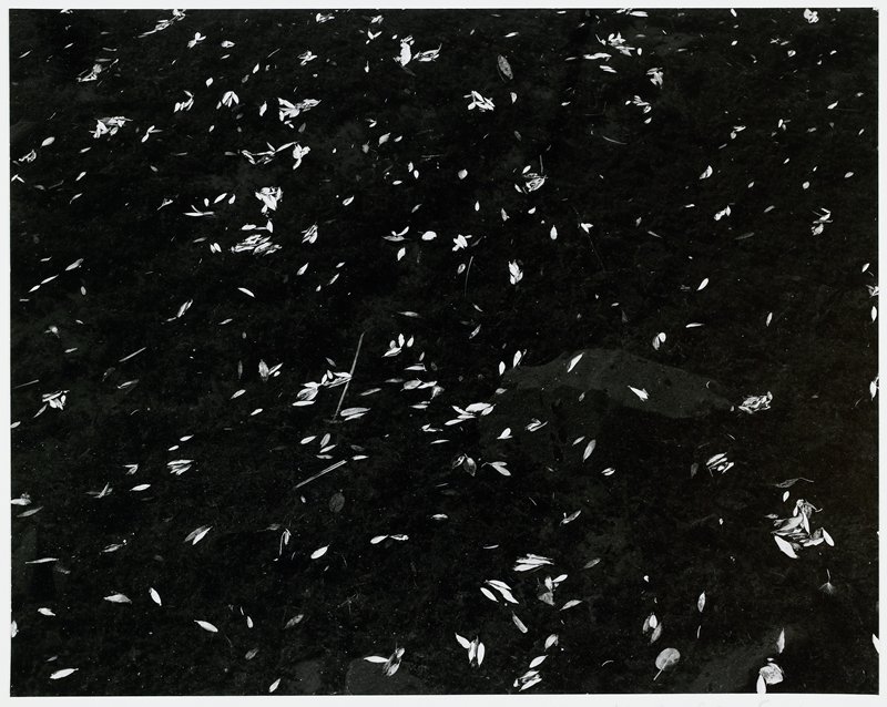 Near Aspen, Colorado, Michael A. Smith, 1975