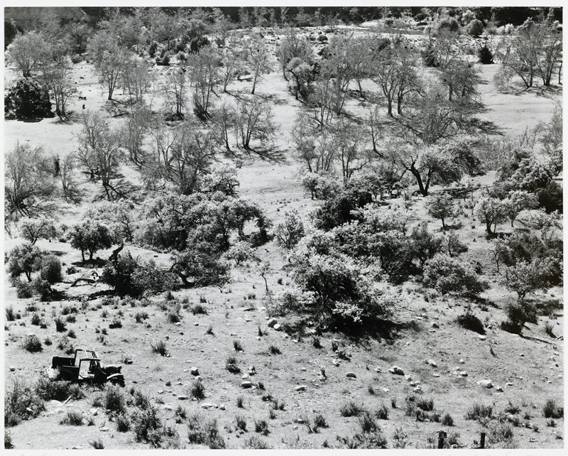 Carmel Valley, California, Michael A. Smith, 1975