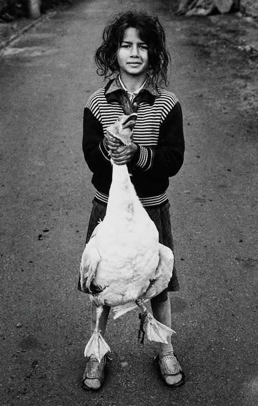 Gypsy Girl with Goose, Vilige Jeravna, Jacko Vassilev, 1985