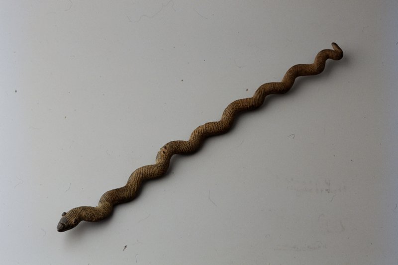 Snake, 18th century