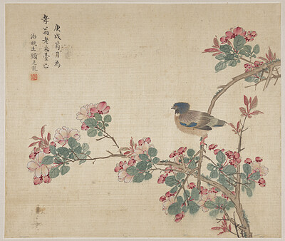 Begonia and a Bird, Gu Jianlong, 1670