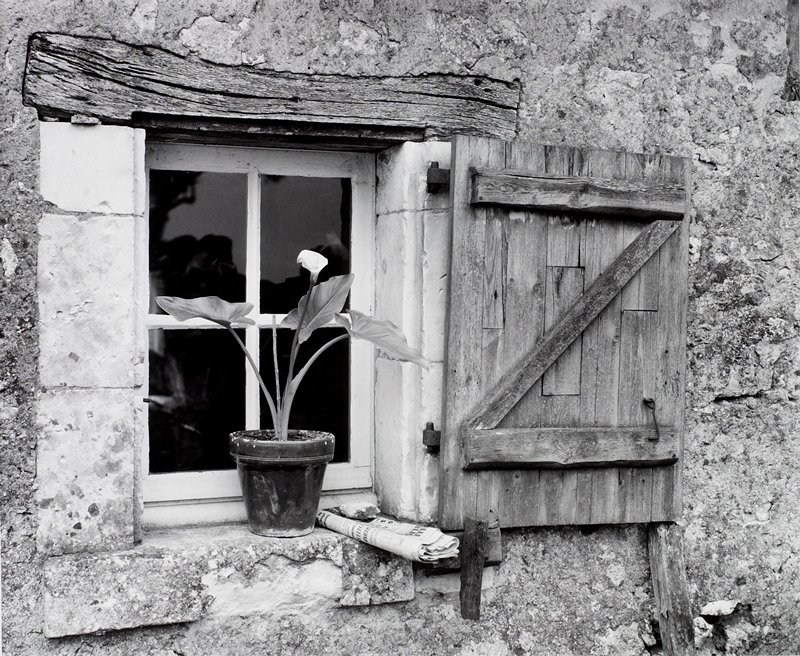 Calla Lily and Newspaper in Window, Farmhouse near Tours, France, Frederick B. Scheel, 1971