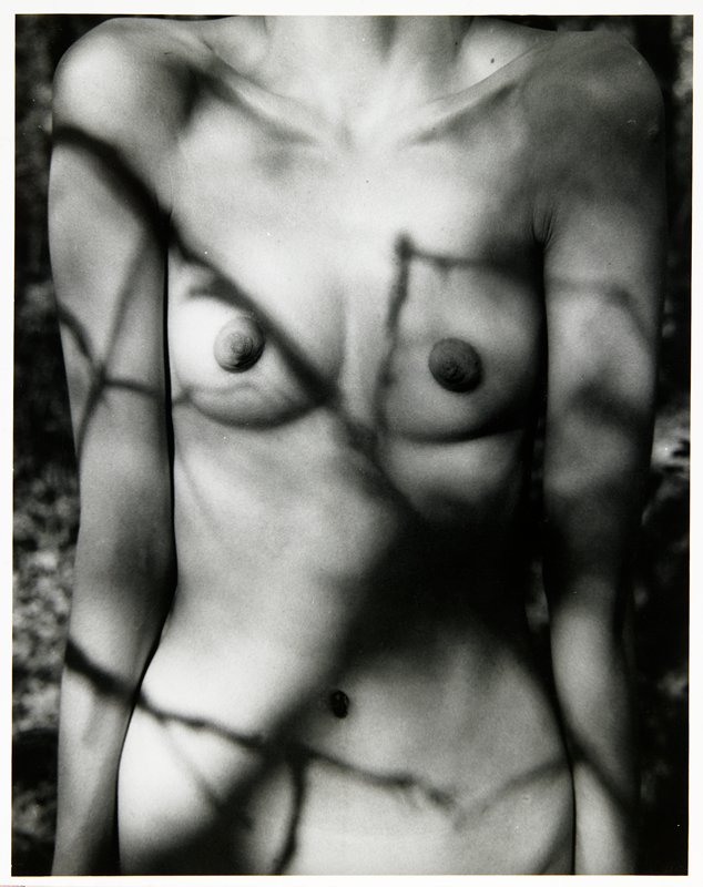 Shirley, James M. Sahlstrand, 1960
