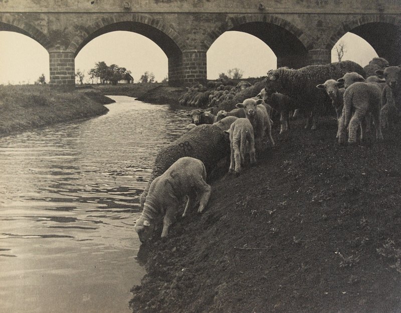 Bei der Brücke des Hortobágy Flusses, Ungarn, László Papp, c. 1935