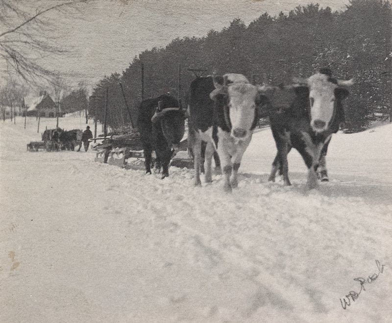 Untitled, William B. Post, c. 1903