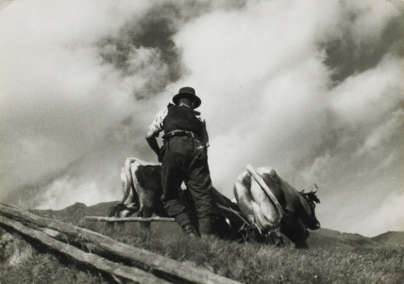 Am Pflug, Paul Wolff, c. 1930