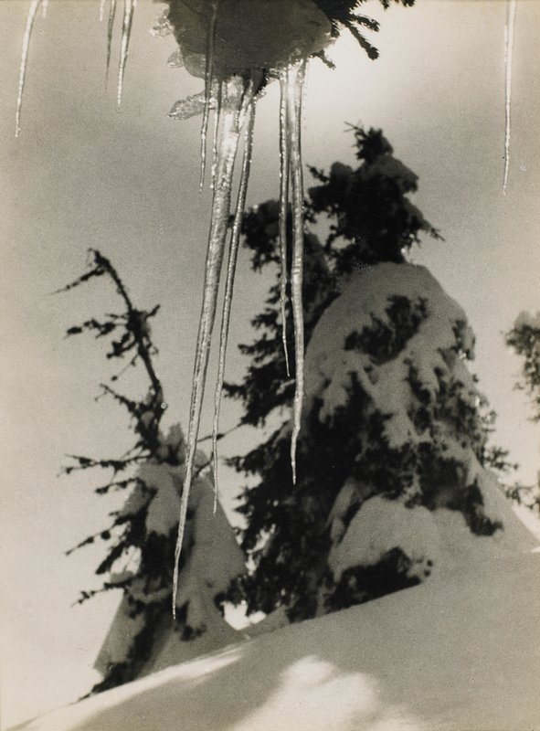 Untitled, Paul Wolff, c. 1933