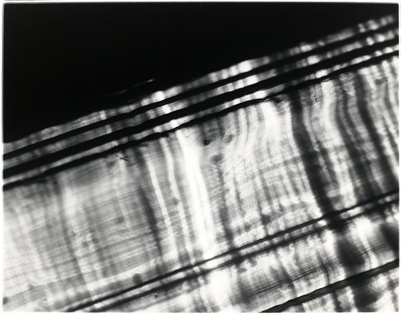 Streetlamp Distortion No. 5, Rochester, New York, Robert Wright, 1977