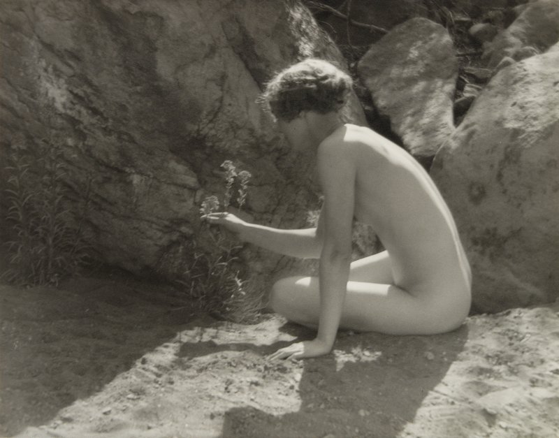 Untitled [seated nude picking a flower], Forman G. Hanna, 20th century