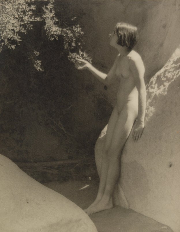 Untitled [nude leaning against rock, looking at leaves], Forman G. Hanna, 20th century